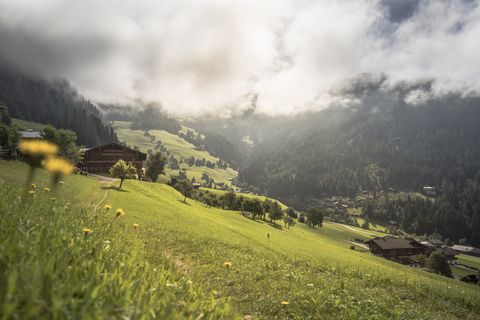 Bergwiese mit herrlicher Lichtstimmung